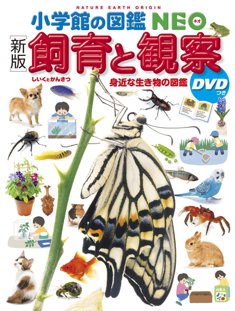 小学館の図鑑　ネオぽけっと　動物　植物　魚　昆虫　鳥　カブトムシ・クワガタムシ カブトムシ・クワガタムシ (小学館の図鑑ネオぽけっと 10