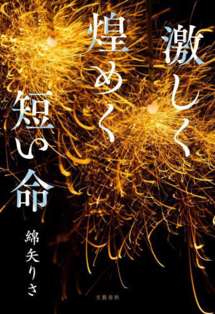 旅の石工 金澤雅子著 【公式通販】