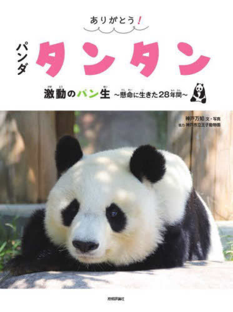 神戸万知さん『ありがとう！パンダ タンタン 激動のパン生 ～懸命に生きた２８年間～』発売記念メッセージプリント入り＆本誌未掲載画像  DL用QRコードレシート | 紀伊國屋書店 - 本の「今」に会いに行こう