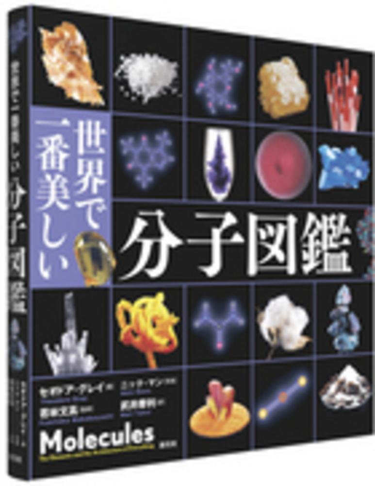 ポイント5倍】創元社の図鑑シリーズ | 紀伊國屋書店 - 本の「今」に