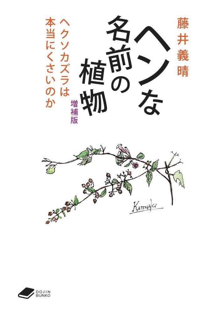 ビルマ文学史/井村文化事業社/ウ-・ペ-・マウン・ティン（単行本） 楽天市場】井村文化事業社の通販