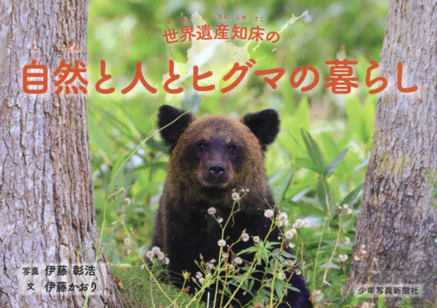 ヒグマフォーラムは中止となりました】ヒグマパネル展 in 札幌 ～知床