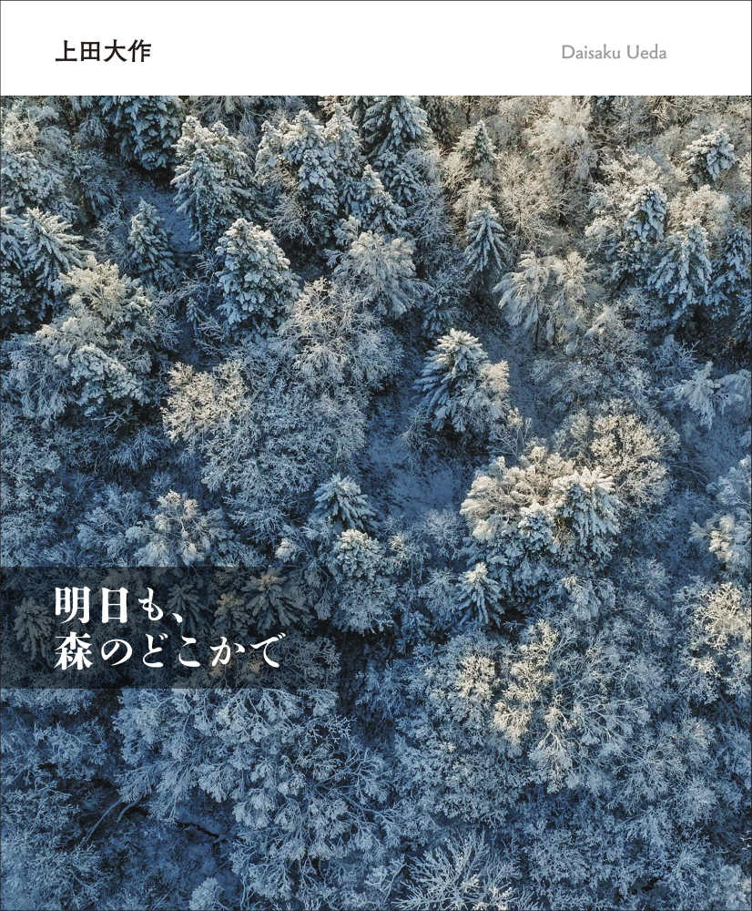 旅の石工 金澤雅子著 【公式通販】